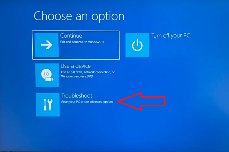 screenshot: in Windows Advanced startup menu